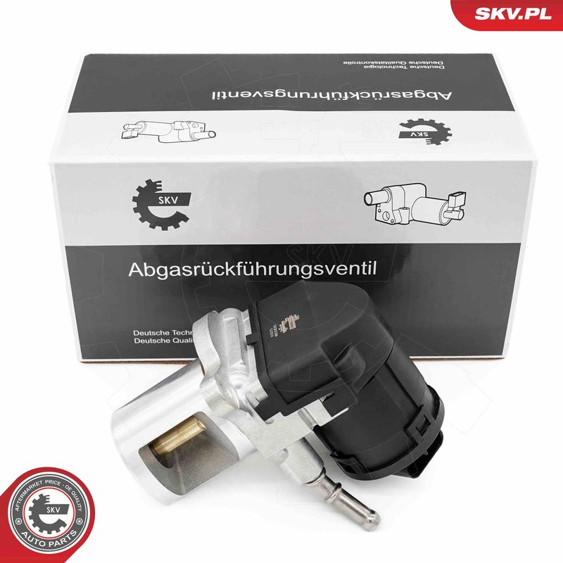 ESEN SKV 14SKV266 EGR Valve