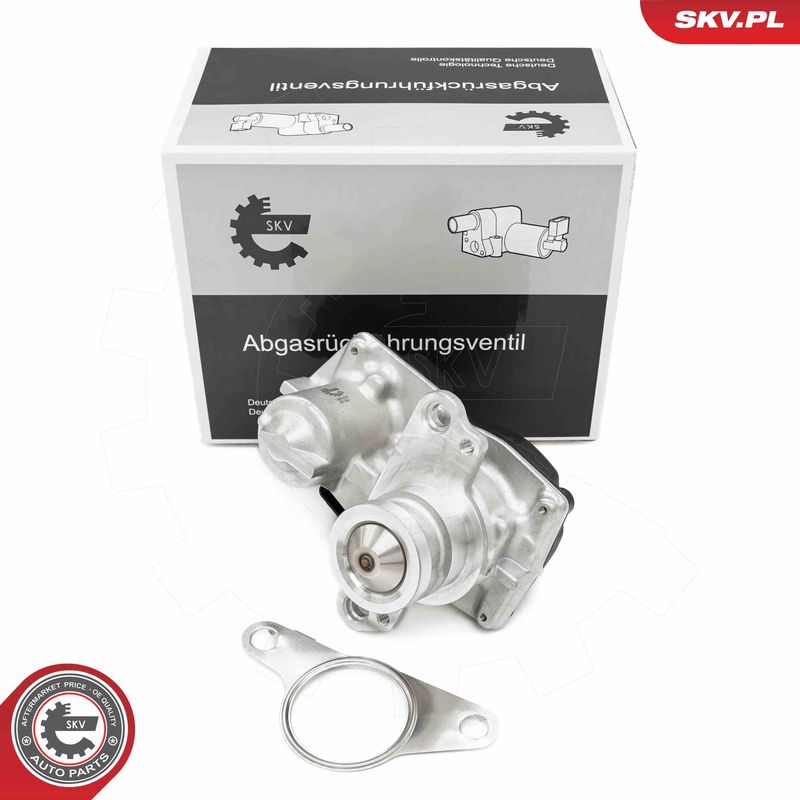 ESEN SKV 14SKV267 EGR Valve