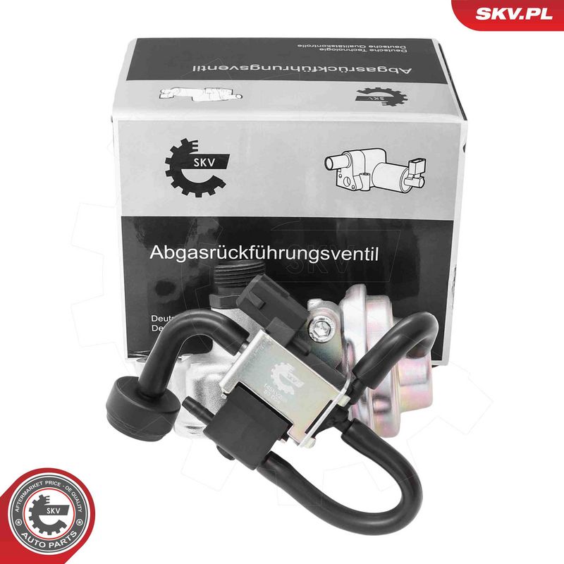 ESEN SKV 14SKV268 EGR Valve