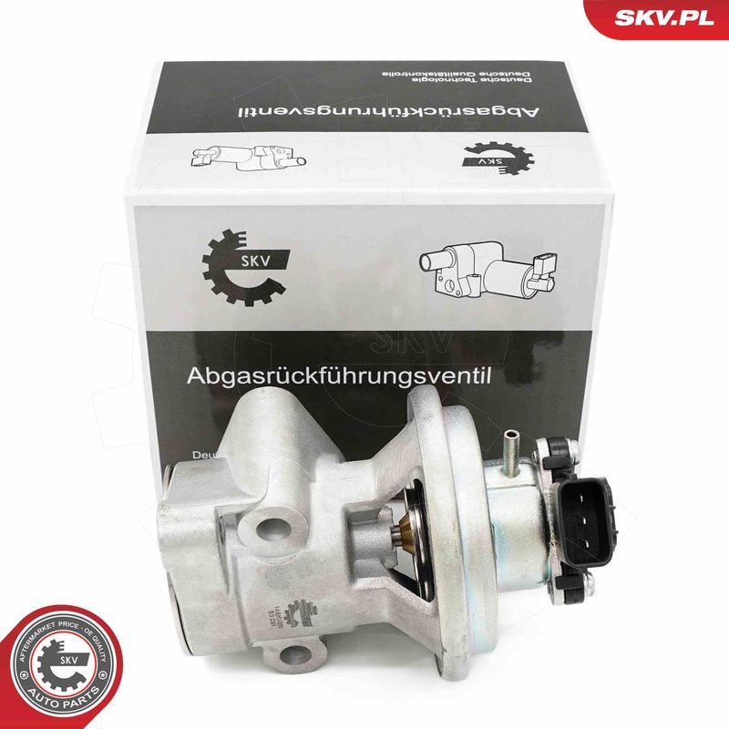 ESEN SKV 14SKV269 EGR Valve
