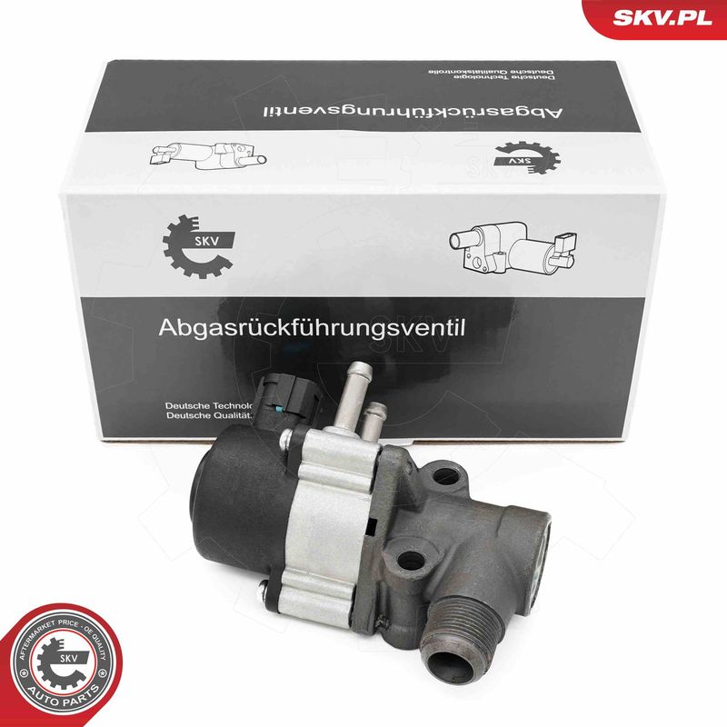 ESEN SKV 14SKV271 EGR Valve
