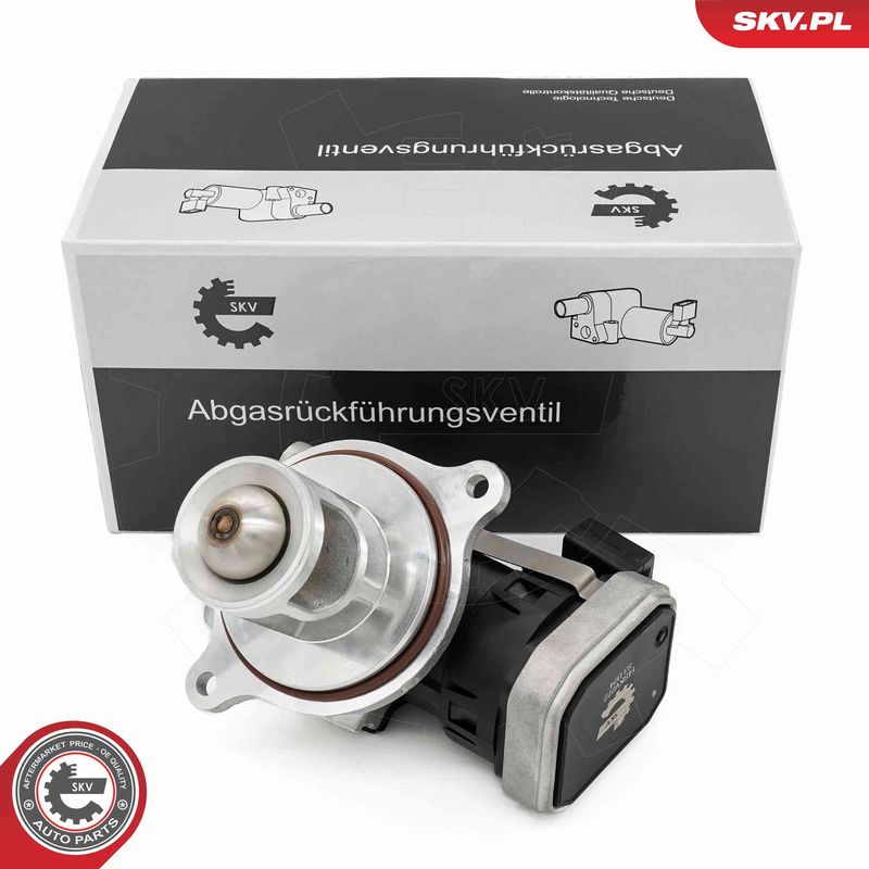 ESEN SKV 14SKV272 EGR Valve