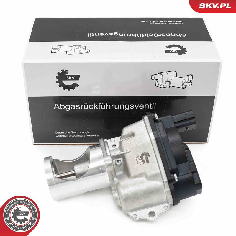 ESEN SKV 14SKV274 EGR Valve