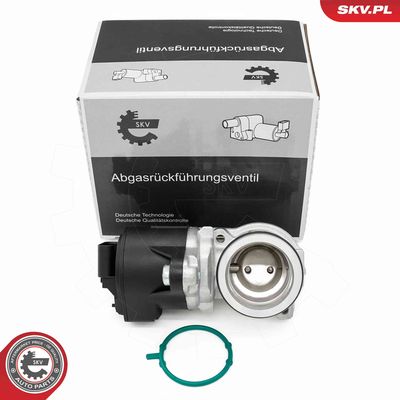 EGR Valve ESEN SKV 14SKV275