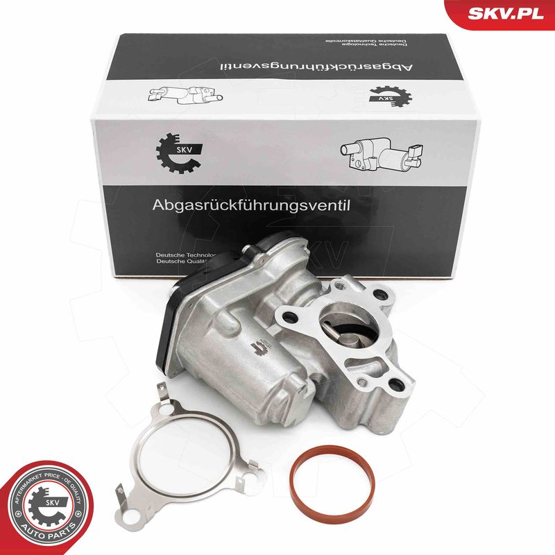 ESEN SKV 14SKV276 EGR Valve