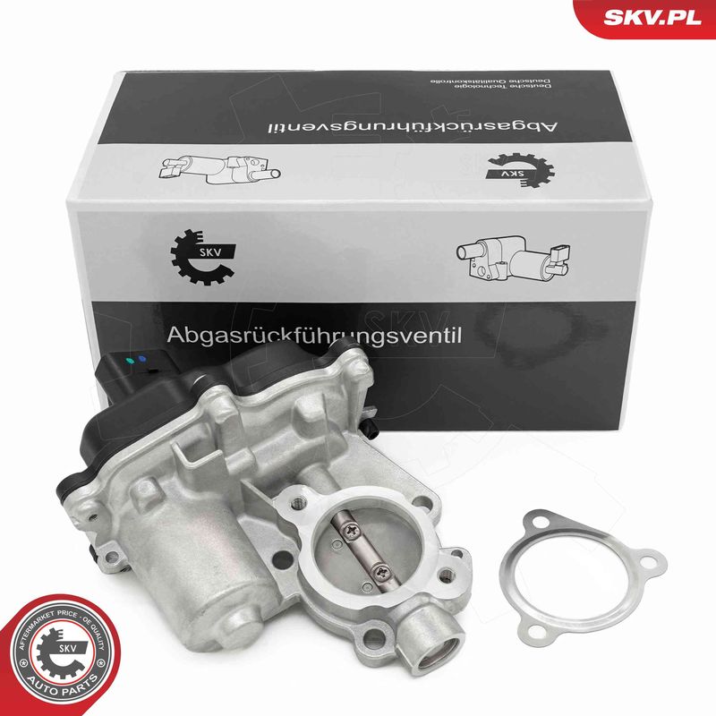 ESEN SKV 14SKV277 EGR Valve