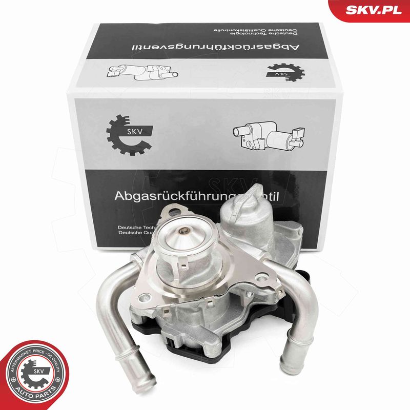 ESEN SKV 14SKV278 EGR Valve