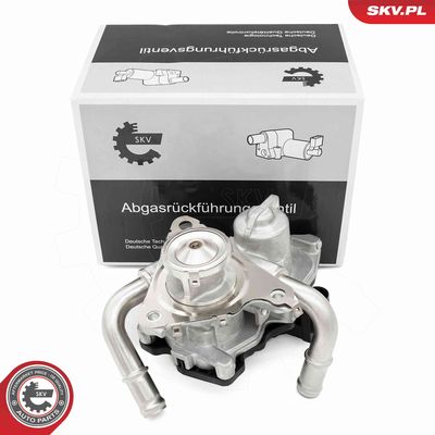 EGR Valve ESEN SKV 14SKV278
