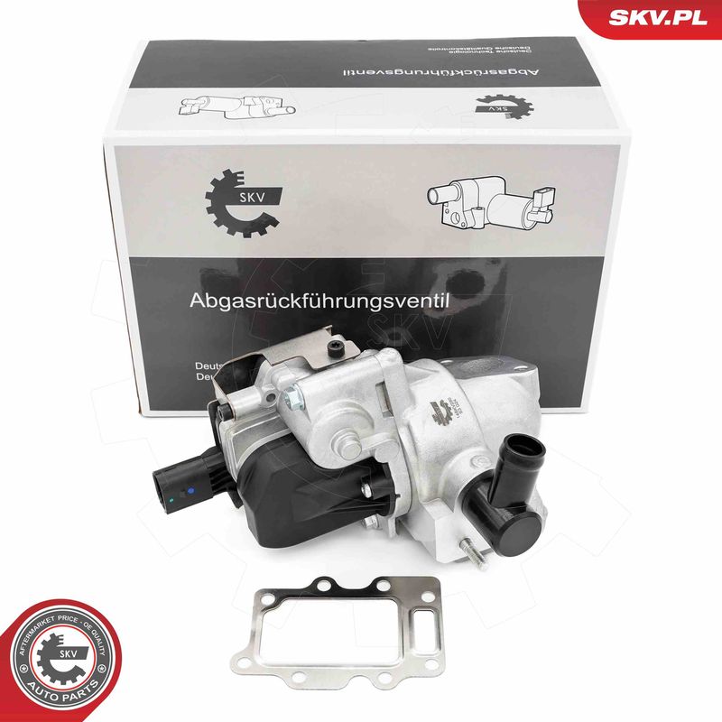 ESEN SKV 14SKV280 EGR Valve