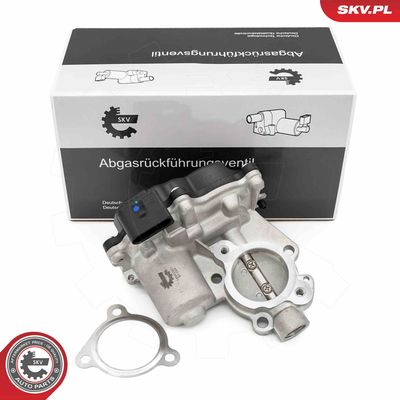 EGR Valve ESEN SKV 14SKV281