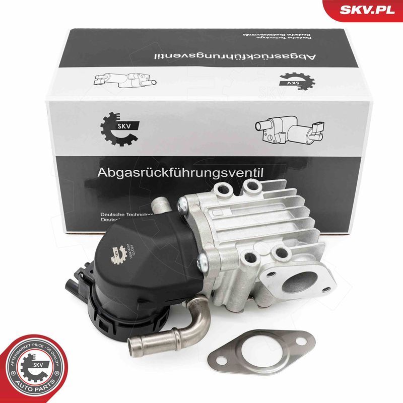 ESEN SKV 14SKV283 EGR Valve