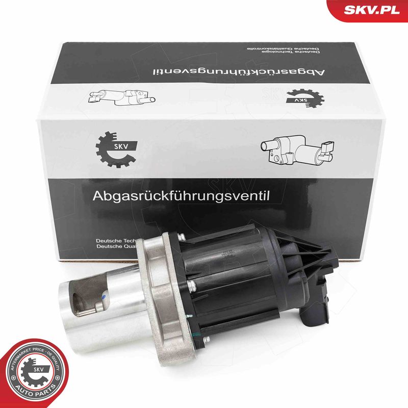 ESEN SKV 14SKV284 EGR Valve