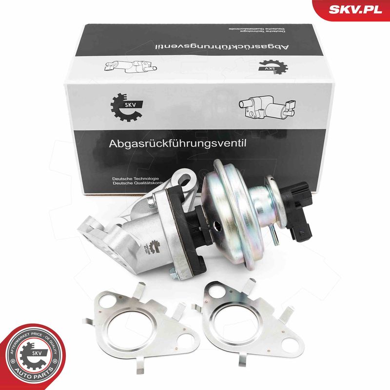 ESEN SKV 14SKV285 EGR Valve