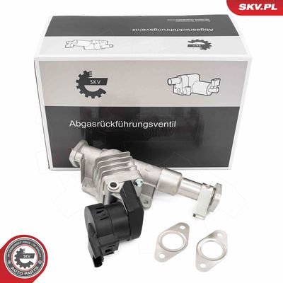 EGR Valve ESEN SKV 14SKV287
