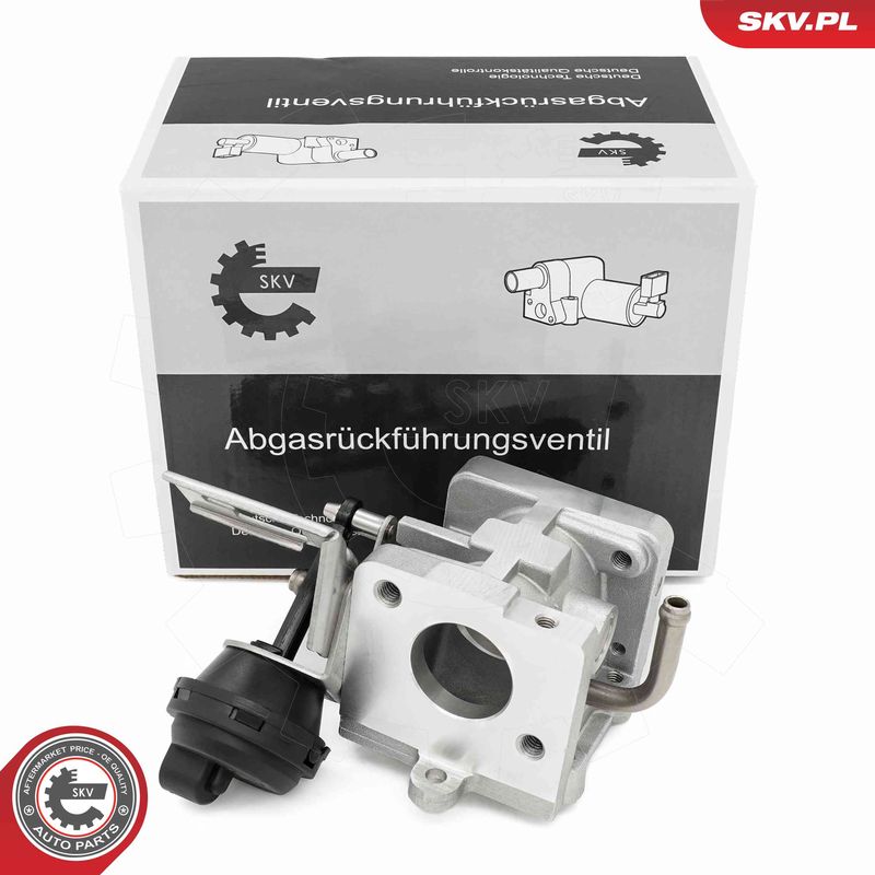 ESEN SKV 14SKV290 EGR Valve