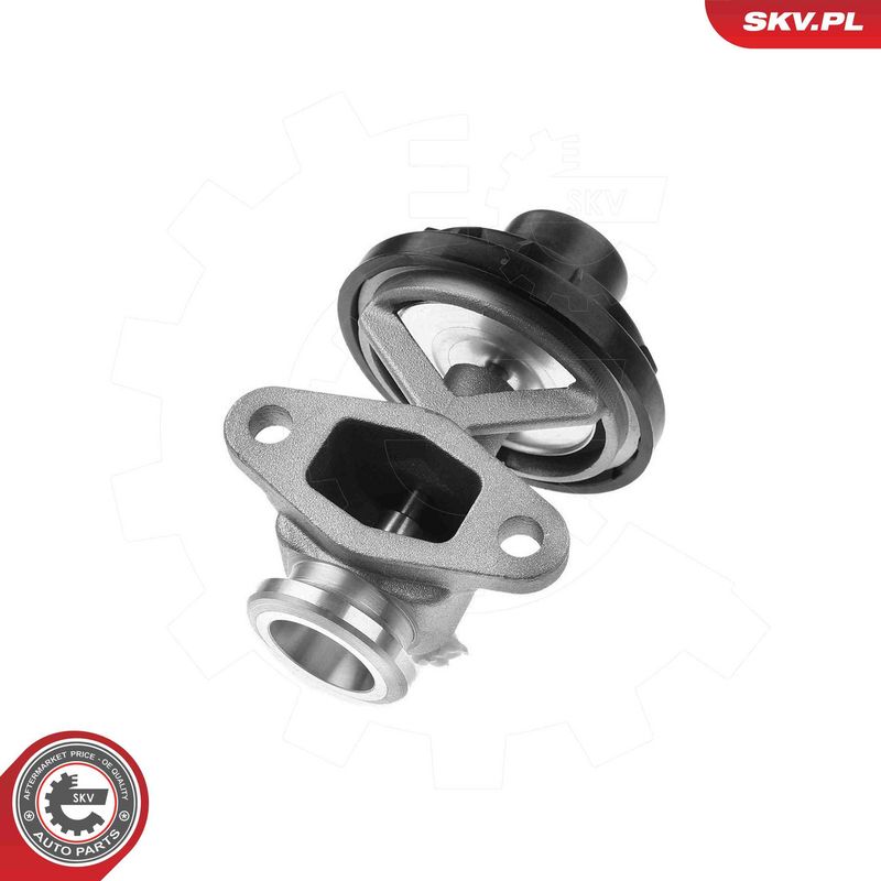 ESEN SKV 14SKV291 EGR Valve