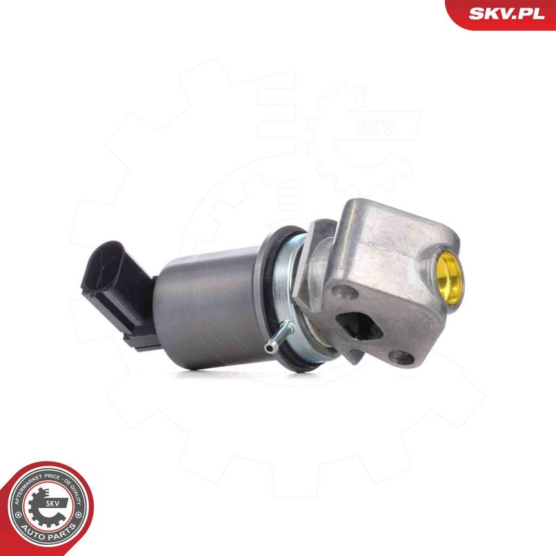 ESEN SKV 14SKV293 EGR Valve