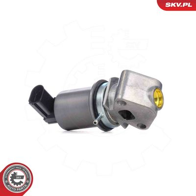 EGR Valve ESEN SKV 14SKV293