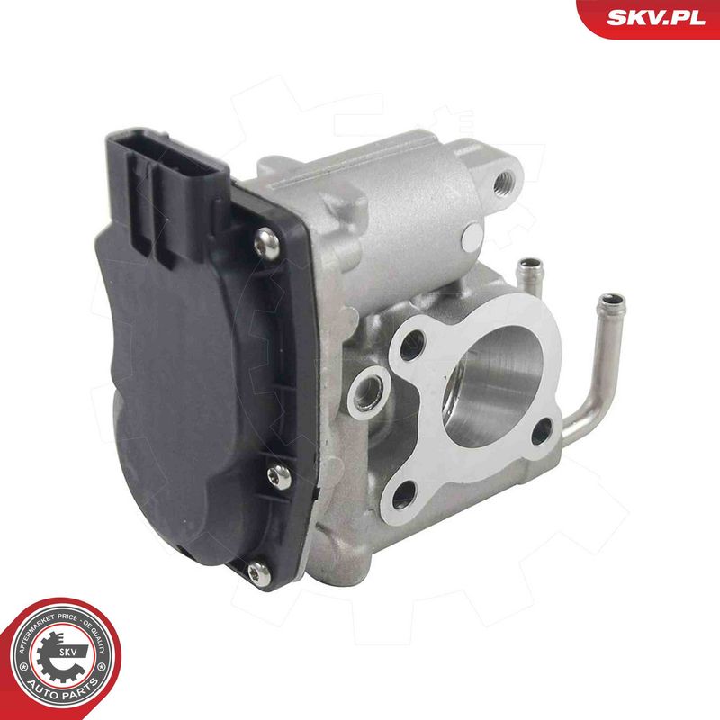 ESEN SKV 14SKV294 EGR Valve