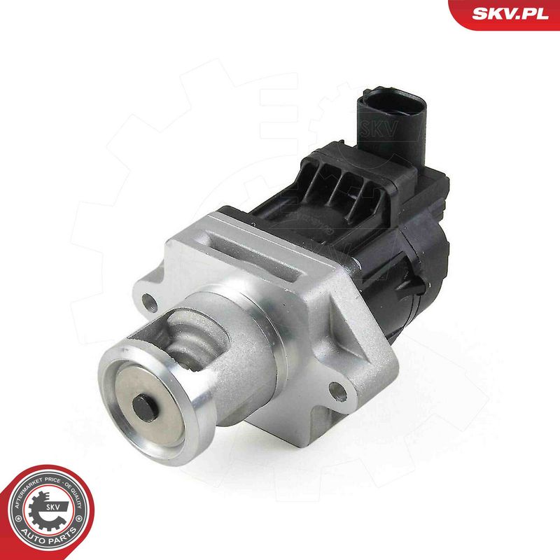 ESEN SKV 14SKV296 EGR Valve