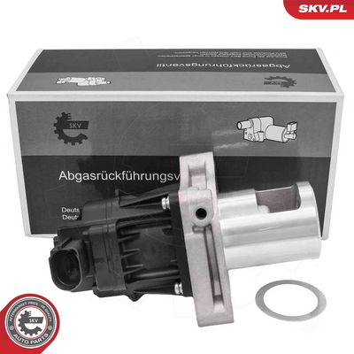 EGR Valve ESEN SKV 14SKV297