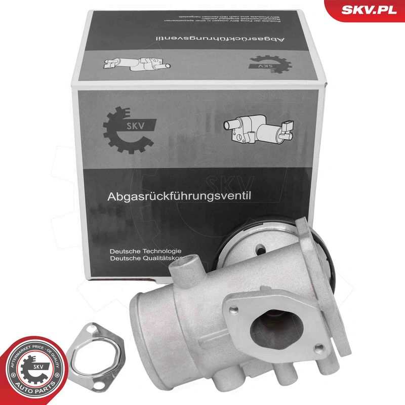 ESEN SKV 14SKV298 EGR Valve