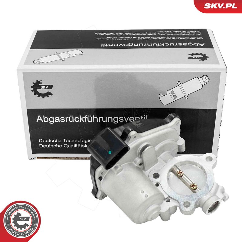 ESEN SKV 14SKV299 EGR Valve