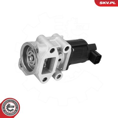 EGR Valve ESEN SKV 14SKV300