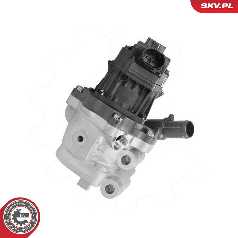 ESEN SKV 14SKV301 EGR Valve