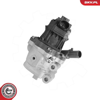 EGR Valve ESEN SKV 14SKV301