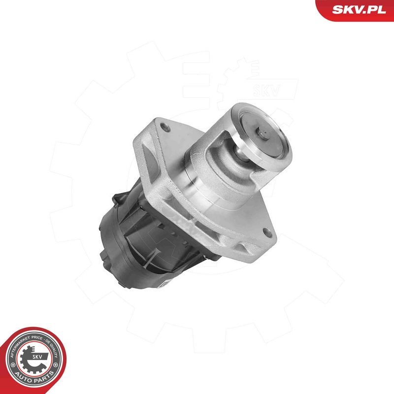 ESEN SKV 14SKV302 EGR Valve