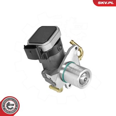 EGR Valve ESEN SKV 14SKV303