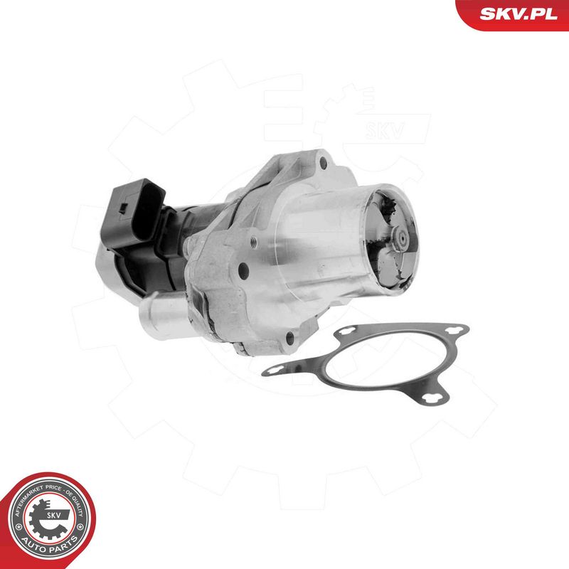 ESEN SKV 14SKV304 EGR Valve