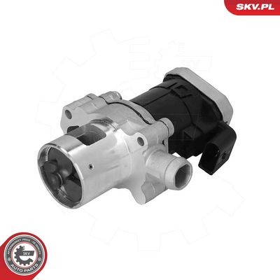 EGR Valve ESEN SKV 14SKV305