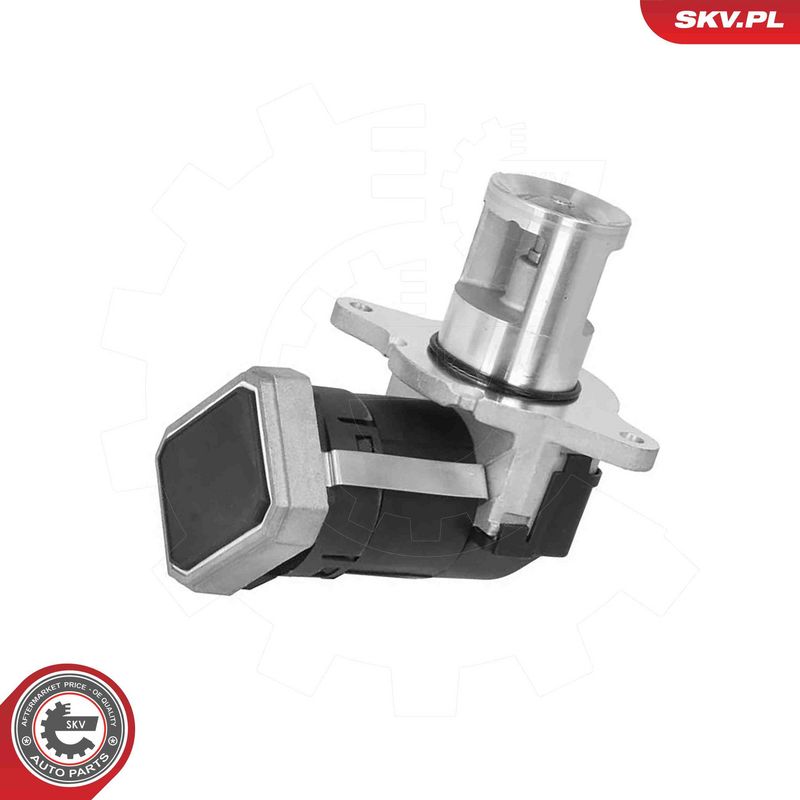 ESEN SKV 14SKV306 EGR Valve
