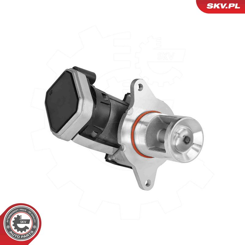 ESEN SKV 14SKV307 EGR Valve