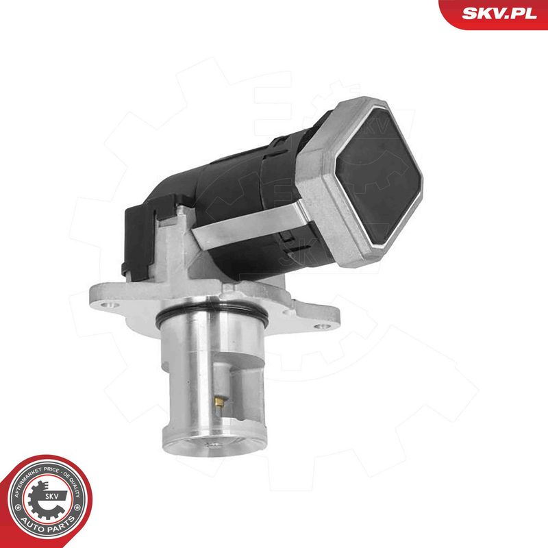 ESEN SKV 14SKV308 EGR Valve