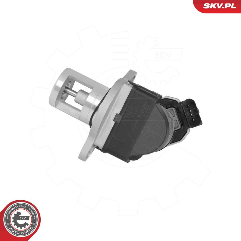 ESEN SKV 14SKV309 EGR Valve