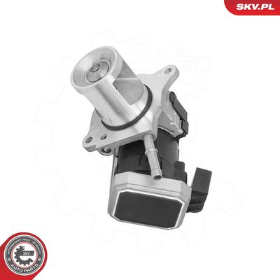 EGR Valve ESEN SKV 14SKV310