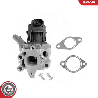 EGR Valve ESEN SKV 14SKV312