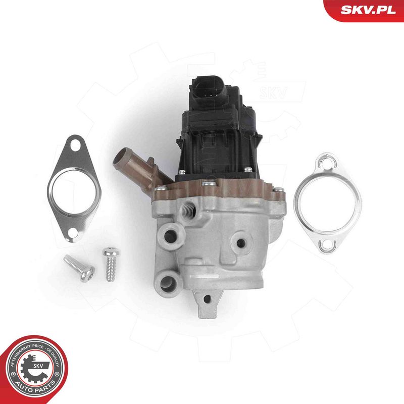 ESEN SKV 14SKV313 EGR Valve