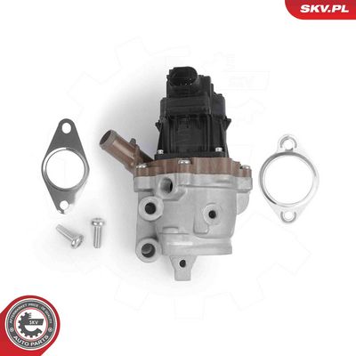 EGR Valve ESEN SKV 14SKV313