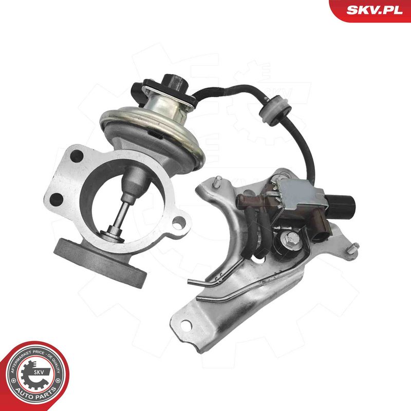 ESEN SKV 14SKV315 EGR Valve