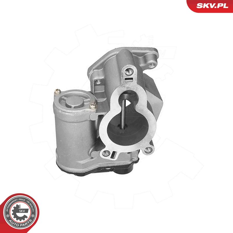 ESEN SKV 14SKV317 EGR Valve