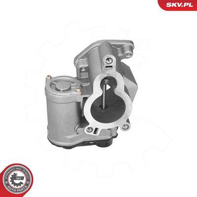 EGR Valve ESEN SKV 14SKV317