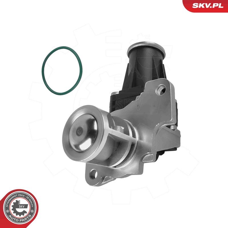 ESEN SKV 14SKV318 EGR Valve