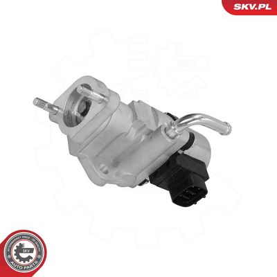 EGR Valve ESEN SKV 14SKV319
