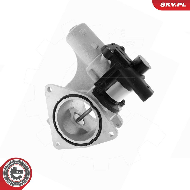 ESEN SKV 14SKV320 EGR Valve