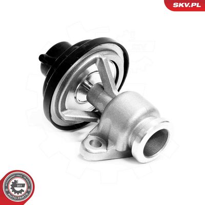 EGR Valve ESEN SKV 14SKV321