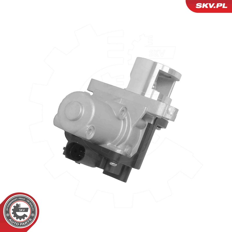 ESEN SKV 14SKV322 EGR Valve
